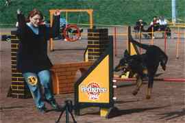 Anouk mit Loustic beim Agility
(Bild: A. u. P. Halsdorf,
 Zuchtstätte: "de la Horde des Petits Barons")
