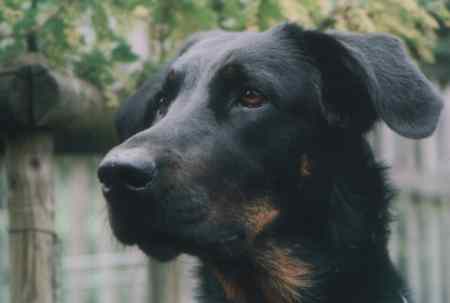 Fabienne du Grand Paturage
